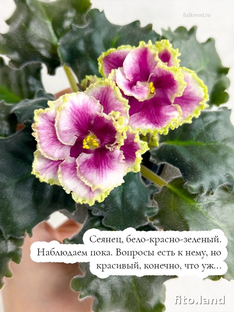 #дневничок :) — фото 2