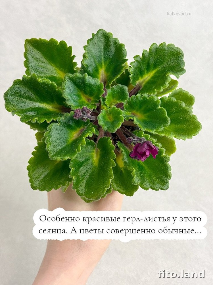 #дневничок :) — фото 3