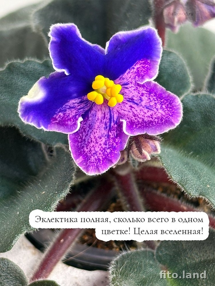 #дневничок :) — фото 4