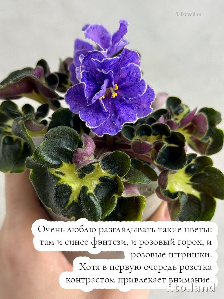 #дневничок :) — фото 5