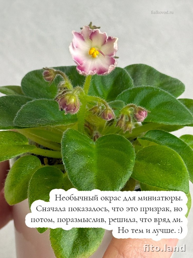 #дневничок :) — фото 6