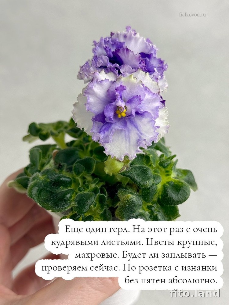 #дневничок :) — фото 7