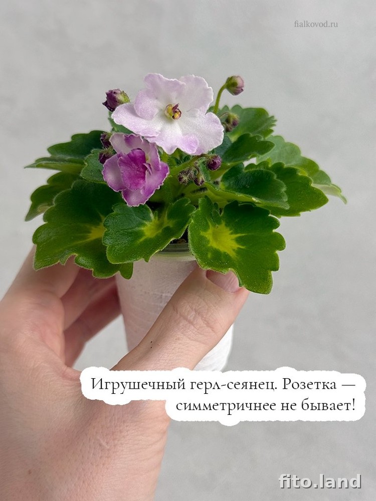 #дневничок :) — фото 8