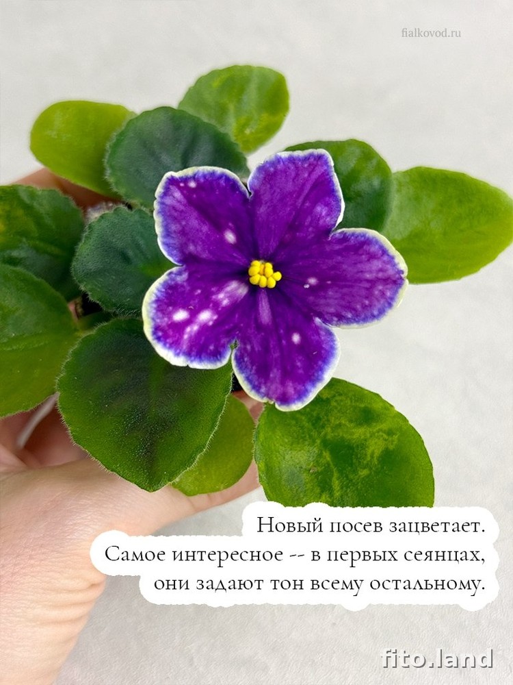 #дневничок :) — фото 9